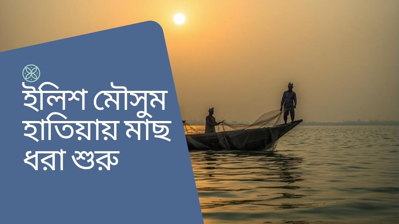 ভিডিও ডকুমেন্টারি: মেঘনার ইলিশ