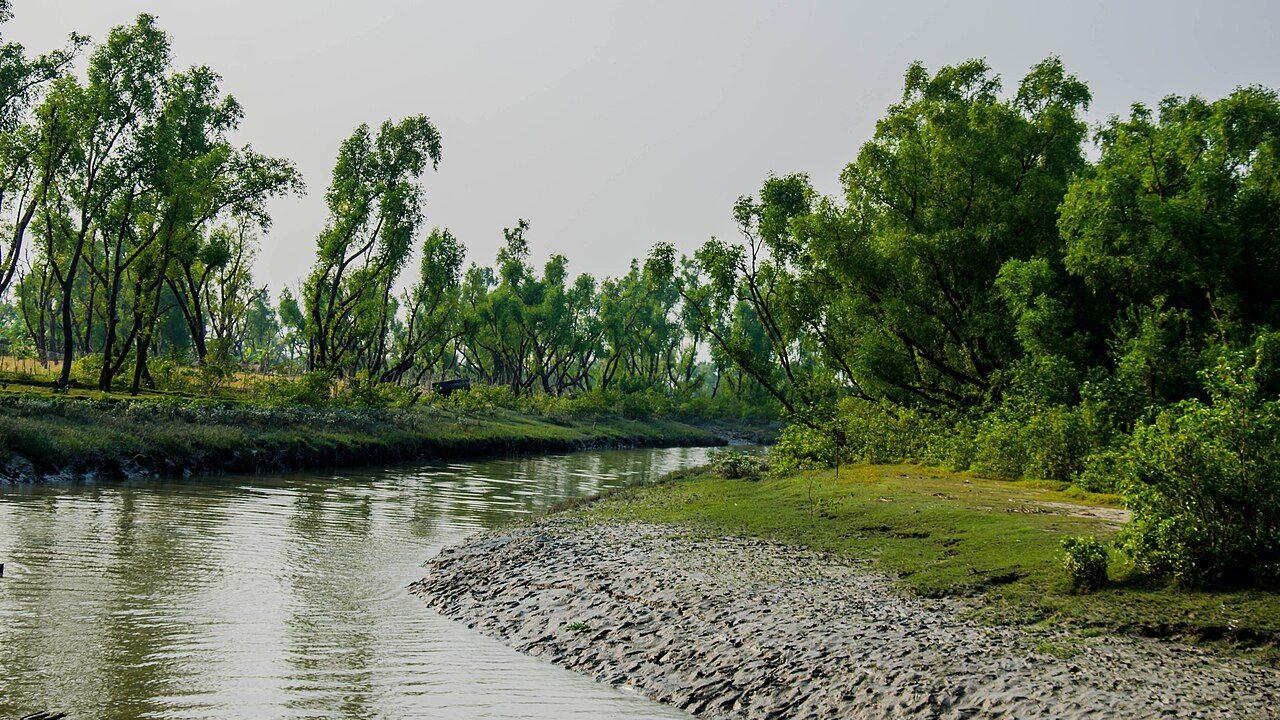 নিঝুম দ্বীপের বালুতে প্রায় ২৫ শতাংশ ভারী খনিজের উপস্থিতি