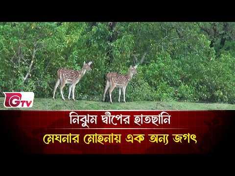 নিঝুম দ্বীপের হাতছানি: মেঘনার মোহনায় এক অন্য জগৎ